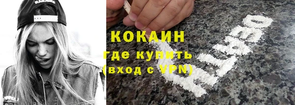 мдпв Магас